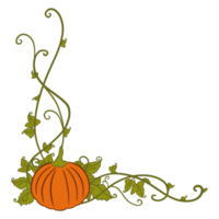 mignonne citrouilles avec feuilles frontière png