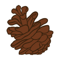 Pine Cone Illustration png