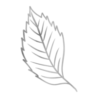 Silver Fall Leaf png