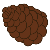 Pine Cone Drawing png