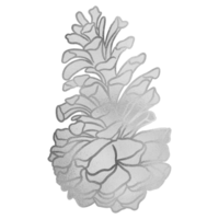 Silver Pine Cone png