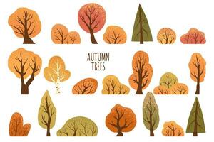 Set of yellow autumn trees and bushes. Maple, birch, oak, aspen, fir-tree and shrubs. Isolated on white background. Hand drawn vector park autumn tree. Fall vector illustration