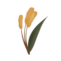 draw a cartoon of grass flower, no background png