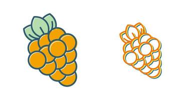 Grapes Vector Icon