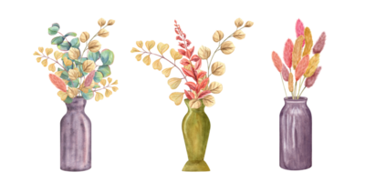 Floral bouquets in colored ceramic pots. Stylish plant with huge green leaves. Houseplants with fiddle-leaf fig, interior decor, design element for modern room. Watercolor illustration png