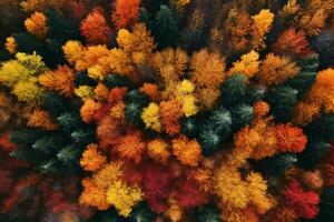 aéreo ver de un encantador otoño bosque con vibrante matices de naranja, rojo, y oro ai generativo foto