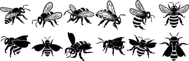 Set of bee silhouettes, isolated on white background vector