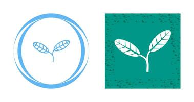 Leaves Vector Icon