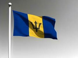 barbados nacional bandera aislado en gris antecedentes foto