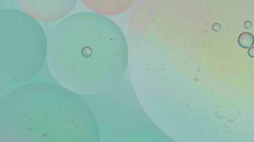 Oil bubble  and spheres moving on water with color background, Macro photography concept video