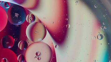 Oil bubble  and spheres moving on water with color background, Macro photography concept video