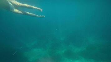 embaixo da agua cenas do irreconhecível pessoas snorkel dentro a mar. tipos do entretenimento e lazer às mar video