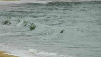 Footage of a sea wave rolling on the shore. Relax concept. Background for travel advertising video