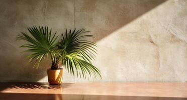 gris cemento pared y piso, palma árbol en florero en un luz de sol, sombra, rayos de sol efecto desde ventana, para lujo interior diseño decoración, producto monitor antecedentes. ai generativo foto