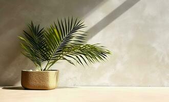 gris cemento pared y piso, palma árbol en florero en un luz de sol, sombra, rayos de sol efecto desde ventana, para lujo interior diseño decoración, producto monitor antecedentes. ai generativo foto