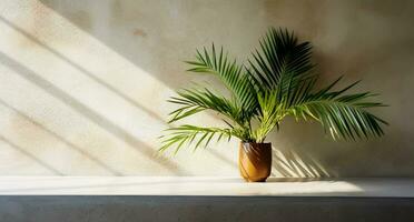 gris cemento pared y piso, palma árbol en florero en un luz de sol, sombra, rayos de sol efecto desde ventana, para lujo interior diseño decoración, producto monitor antecedentes. ai generativo foto