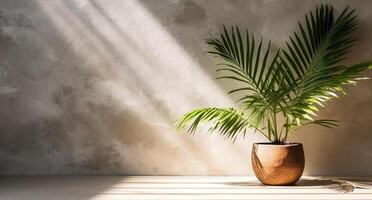 gris cemento pared y piso, palma árbol en florero en un luz de sol, sombra, rayos de sol efecto desde ventana, para lujo interior diseño decoración, producto monitor antecedentes. ai generativo foto