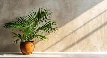 gris cemento pared y piso, palma árbol en florero en un luz de sol, sombra, rayos de sol efecto desde ventana, para lujo interior diseño decoración, producto monitor antecedentes. ai generativo foto