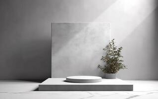 3d rendering empty mockup scene of cube rectangle podium for product template display, gray wall with daylight and shadow, plant in vase, photo