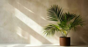 gris cemento pared y piso, palma árbol en florero en un luz de sol, sombra, rayos de sol efecto desde ventana, para lujo interior diseño decoración, producto monitor antecedentes. ai generativo foto