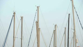 Yacht masts against clear blue sky video