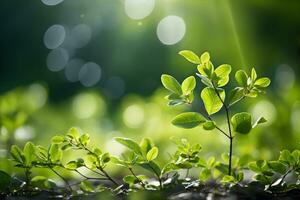 verde hojas en el jardín durante verano debajo luz de sol con Bokeh. naturaleza de verde hoja en parque. natural verde hojas plantas utilizando como primavera antecedentes o verdor fondo de pantalla. ai generativo foto