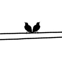 Silhouette of the Pair Bird Perched on the Electrical Wire Base on my Photography. Vector Illustration