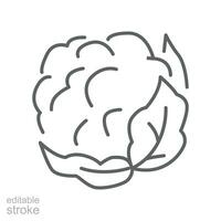 Cauliflower icon. Organic Vegetables logo Cabbage. vegetable and diet from the garden. Organic healthy food. Outline style. Editable stroke vector illustration design on white background. EPS 10