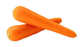 Fresh orange carrots in stack isolated with clipping path in png file format Close up of healthy vegetable root