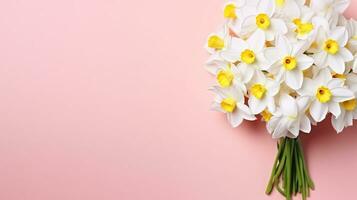Lush bouquet of white-yellow daffodils isolated on pink background. Tender minimalistic spring flowers composition. Generative AI photo