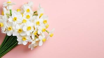 Lush bouquet of white-yellow daffodils isolated on pink background. Top view, copy space for text, Generative AI photo