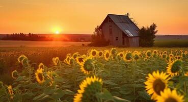 el primero luz de sol ilumina un girasol campo y antiguo molino. generativo ai foto