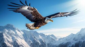 Majestic eagle soaring above a pristine, snow-capped mountain range under a blue sky photo