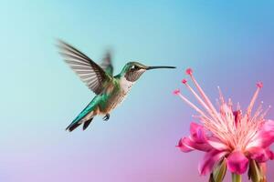 Minimalist capture of a hummingbird mid-flight sipping nectar from an exotic flower photo
