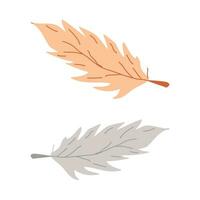 Hand drawn elements bird feathers wild tribe. vector