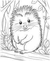 Porcupine zoo coloring page animals vector