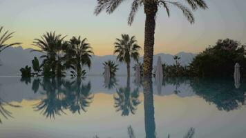 Evening scene on resort Swimming pool, palms and mountains video