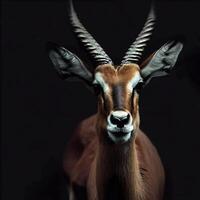 Portrait of an antelope on a black background with space for text. Wild artiodactyl animal. AI Generative photo