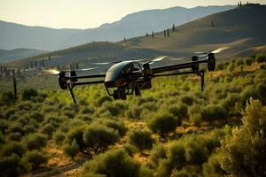 Drone capturing vast verdant olive groves at peak season isolated on a serene sunset gradient background photo