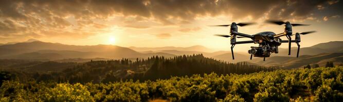 Drone capturing vast verdant olive groves at peak season isolated on a serene sunset gradient background photo