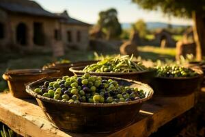 Traditional baskets filled with freshly picked olives in a sun drenched Tuscany field photo