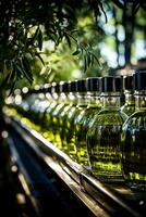 Traditional olive oil bottling line amidst lush green olive groves photo