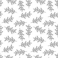 Seamless vector pattern of plants, flowers.