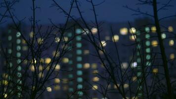 Apartment block at night, view through tree branches video