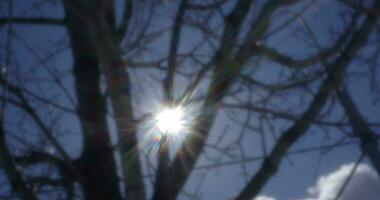 Sun shining in blue sky, view through the tree Retro video