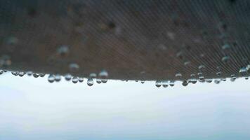 Pure raindrops falling from textile shed video