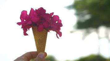 hilado alrededor con verano rojo ramo de flores en gofre cono video