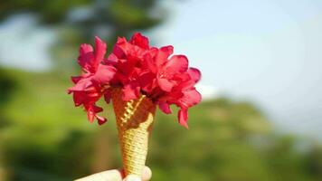 Man with waffle cone flower bouquet spinning around video