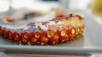 Grilled octopus on the dish video