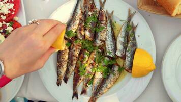 comiendo apetitoso sardinas plato servido con perejil y limón video